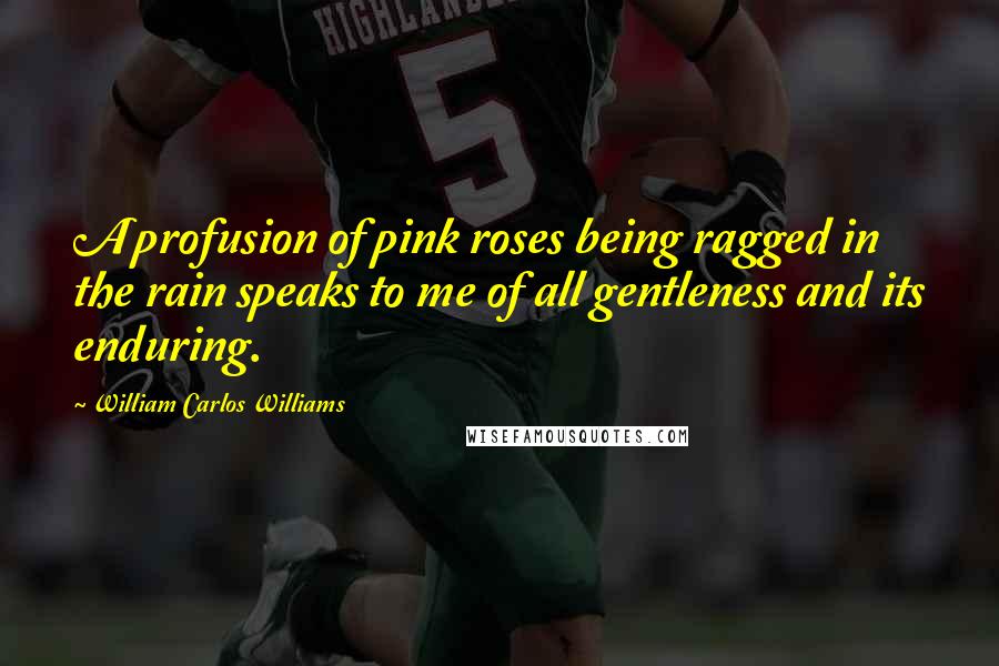 William Carlos Williams Quotes: A profusion of pink roses being ragged in the rain speaks to me of all gentleness and its enduring.