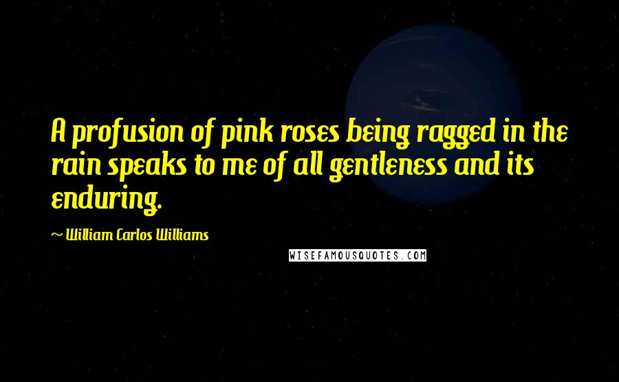 William Carlos Williams Quotes: A profusion of pink roses being ragged in the rain speaks to me of all gentleness and its enduring.