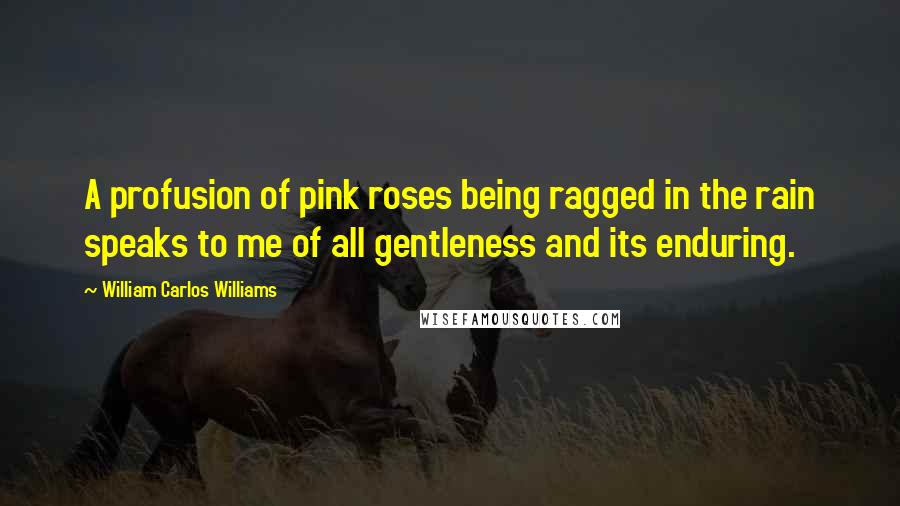 William Carlos Williams Quotes: A profusion of pink roses being ragged in the rain speaks to me of all gentleness and its enduring.