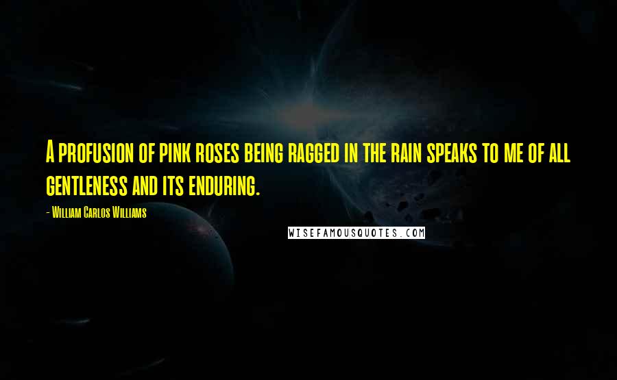 William Carlos Williams Quotes: A profusion of pink roses being ragged in the rain speaks to me of all gentleness and its enduring.