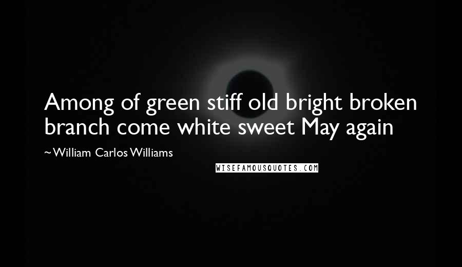 William Carlos Williams Quotes: Among of green stiff old bright broken branch come white sweet May again