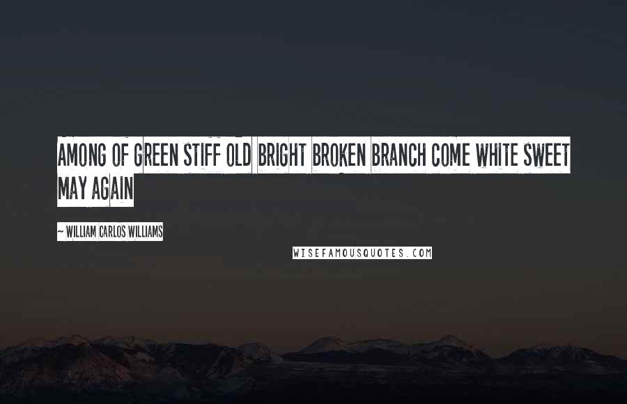 William Carlos Williams Quotes: Among of green stiff old bright broken branch come white sweet May again