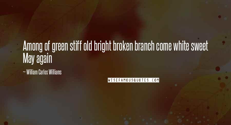 William Carlos Williams Quotes: Among of green stiff old bright broken branch come white sweet May again