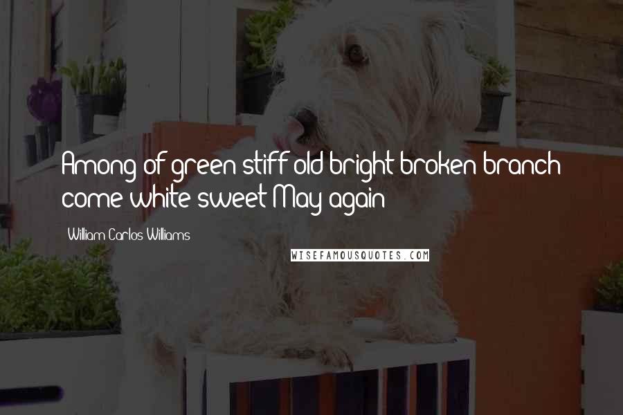 William Carlos Williams Quotes: Among of green stiff old bright broken branch come white sweet May again