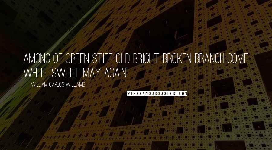 William Carlos Williams Quotes: Among of green stiff old bright broken branch come white sweet May again