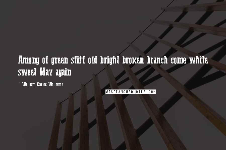 William Carlos Williams Quotes: Among of green stiff old bright broken branch come white sweet May again