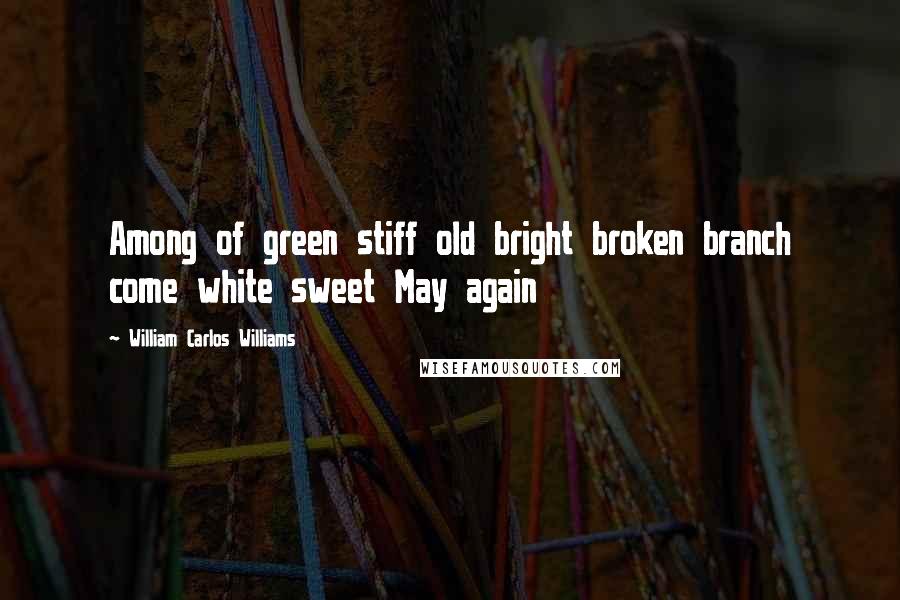 William Carlos Williams Quotes: Among of green stiff old bright broken branch come white sweet May again