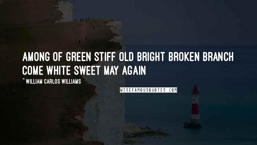 William Carlos Williams Quotes: Among of green stiff old bright broken branch come white sweet May again