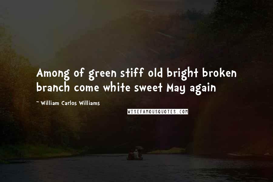 William Carlos Williams Quotes: Among of green stiff old bright broken branch come white sweet May again