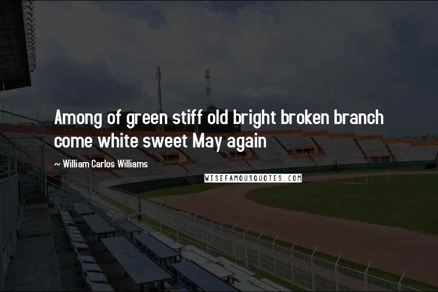 William Carlos Williams Quotes: Among of green stiff old bright broken branch come white sweet May again