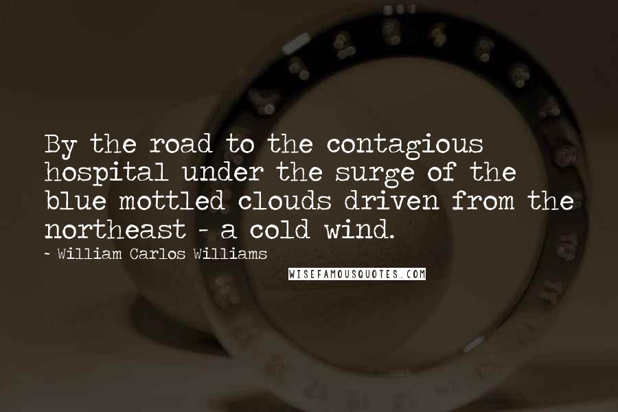 William Carlos Williams Quotes: By the road to the contagious hospital under the surge of the blue mottled clouds driven from the northeast - a cold wind.