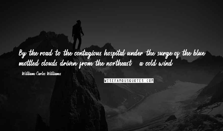 William Carlos Williams Quotes: By the road to the contagious hospital under the surge of the blue mottled clouds driven from the northeast - a cold wind.