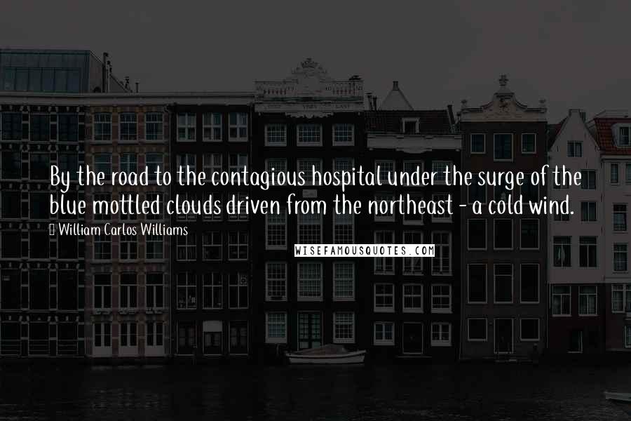 William Carlos Williams Quotes: By the road to the contagious hospital under the surge of the blue mottled clouds driven from the northeast - a cold wind.