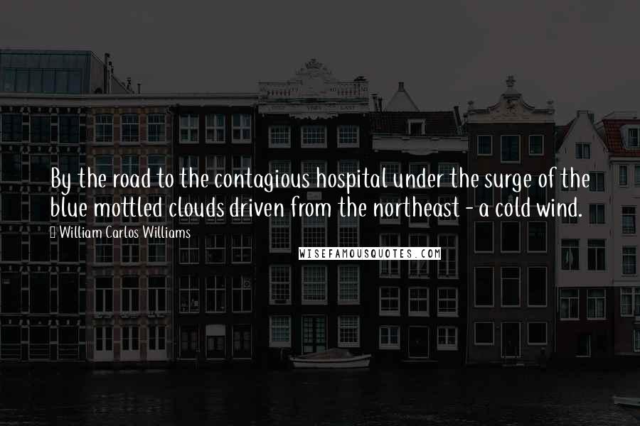 William Carlos Williams Quotes: By the road to the contagious hospital under the surge of the blue mottled clouds driven from the northeast - a cold wind.