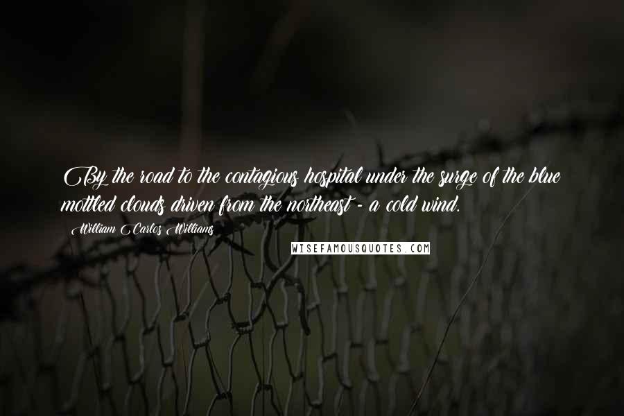 William Carlos Williams Quotes: By the road to the contagious hospital under the surge of the blue mottled clouds driven from the northeast - a cold wind.