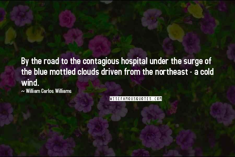 William Carlos Williams Quotes: By the road to the contagious hospital under the surge of the blue mottled clouds driven from the northeast - a cold wind.