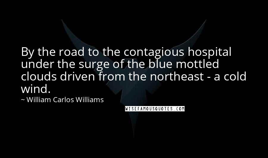 William Carlos Williams Quotes: By the road to the contagious hospital under the surge of the blue mottled clouds driven from the northeast - a cold wind.