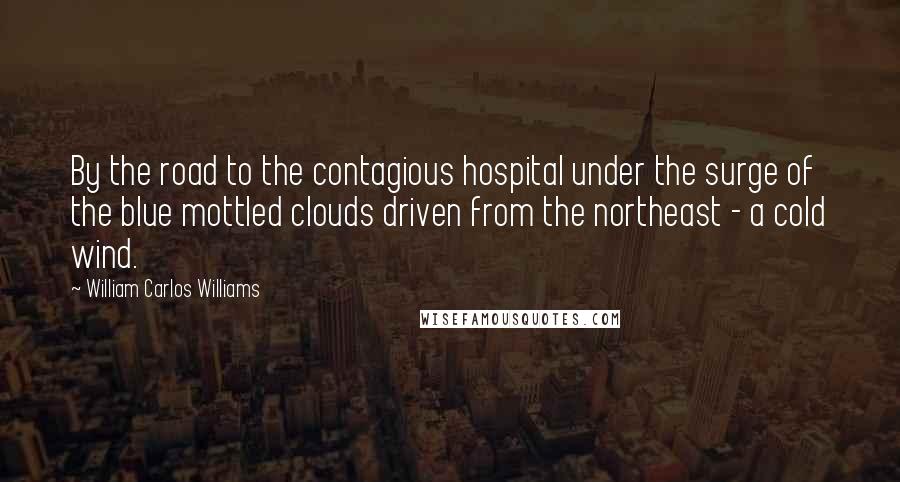 William Carlos Williams Quotes: By the road to the contagious hospital under the surge of the blue mottled clouds driven from the northeast - a cold wind.