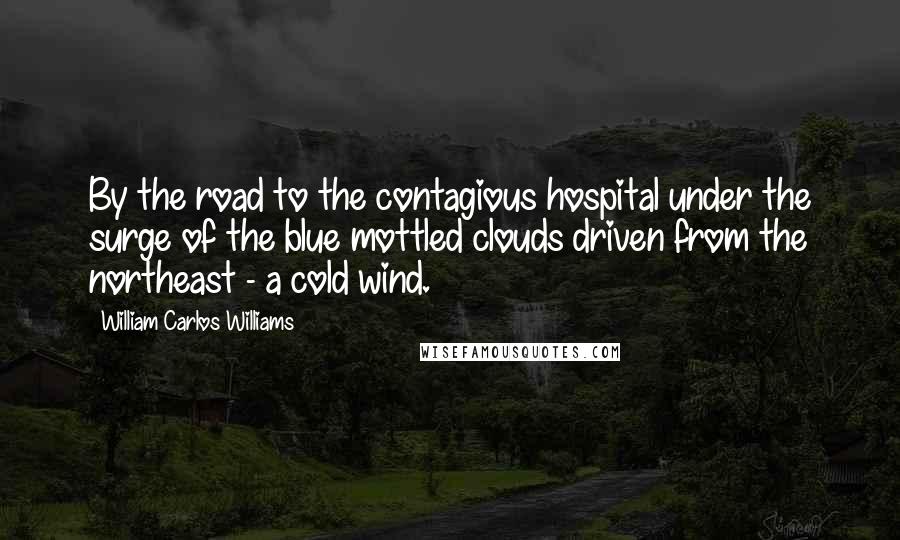 William Carlos Williams Quotes: By the road to the contagious hospital under the surge of the blue mottled clouds driven from the northeast - a cold wind.