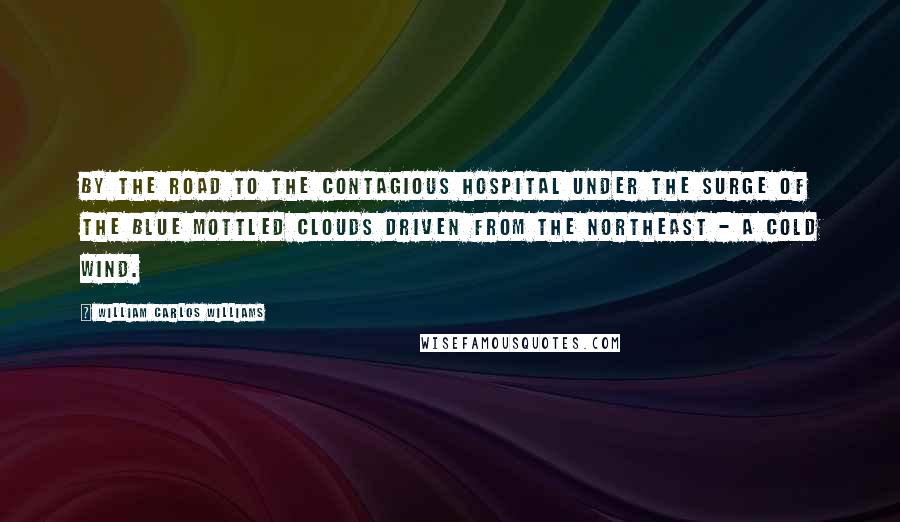 William Carlos Williams Quotes: By the road to the contagious hospital under the surge of the blue mottled clouds driven from the northeast - a cold wind.