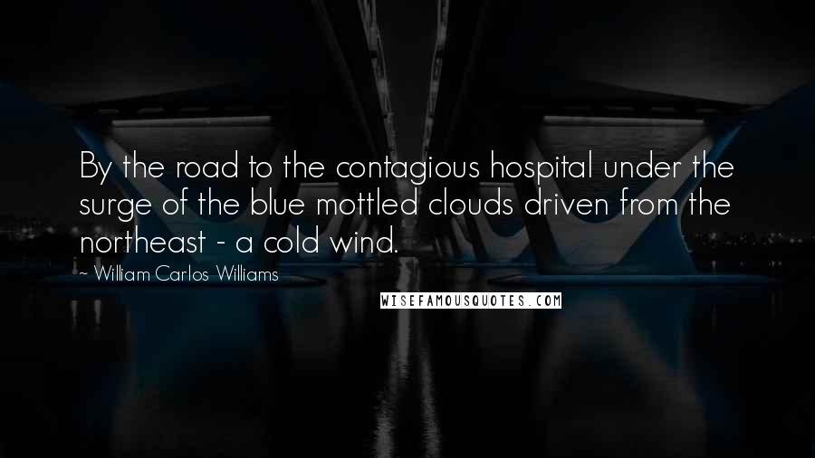 William Carlos Williams Quotes: By the road to the contagious hospital under the surge of the blue mottled clouds driven from the northeast - a cold wind.