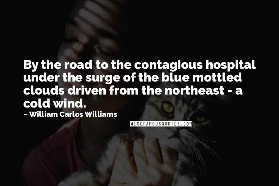 William Carlos Williams Quotes: By the road to the contagious hospital under the surge of the blue mottled clouds driven from the northeast - a cold wind.