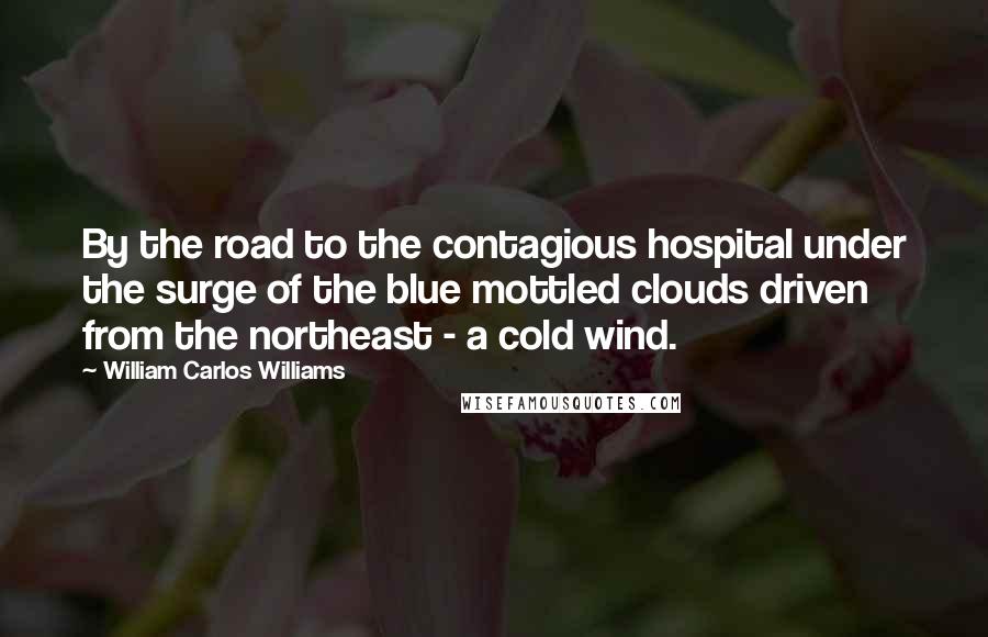 William Carlos Williams Quotes: By the road to the contagious hospital under the surge of the blue mottled clouds driven from the northeast - a cold wind.