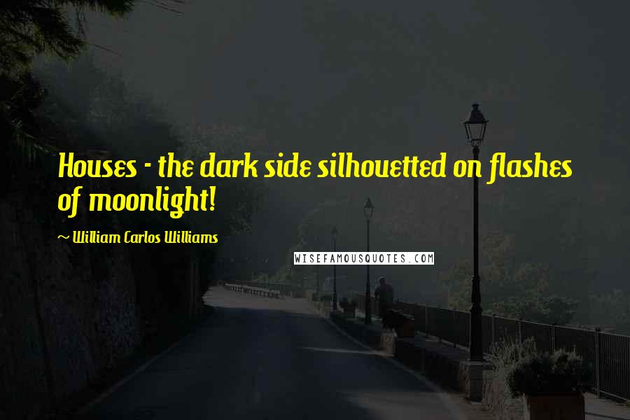 William Carlos Williams Quotes: Houses - the dark side silhouetted on flashes of moonlight!