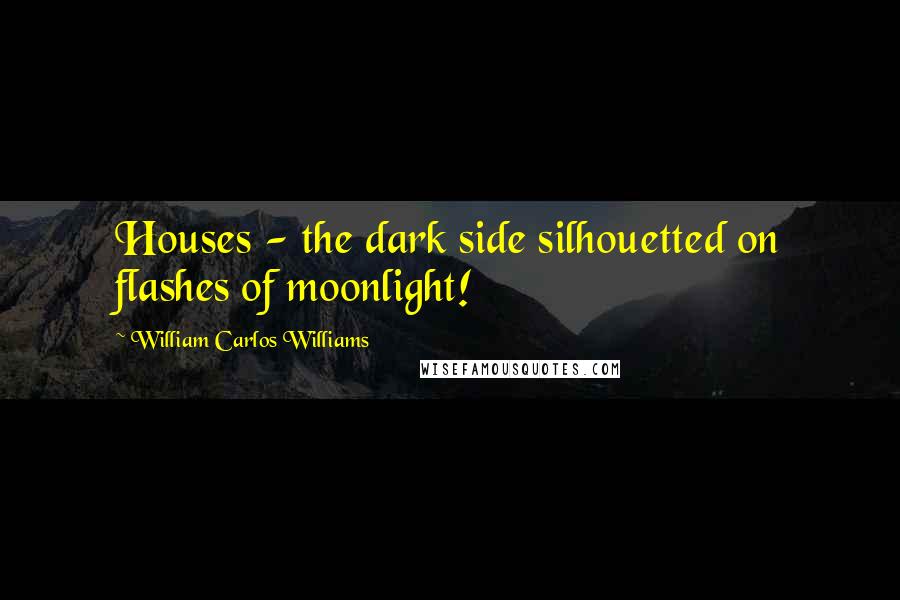 William Carlos Williams Quotes: Houses - the dark side silhouetted on flashes of moonlight!