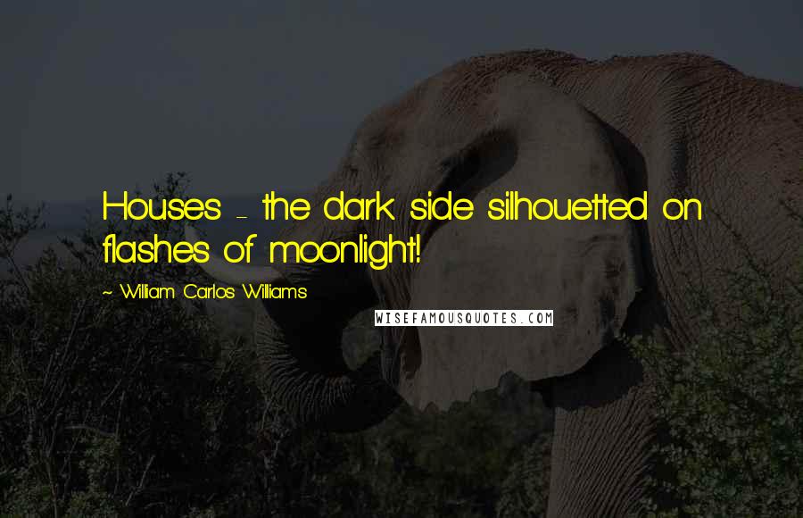 William Carlos Williams Quotes: Houses - the dark side silhouetted on flashes of moonlight!