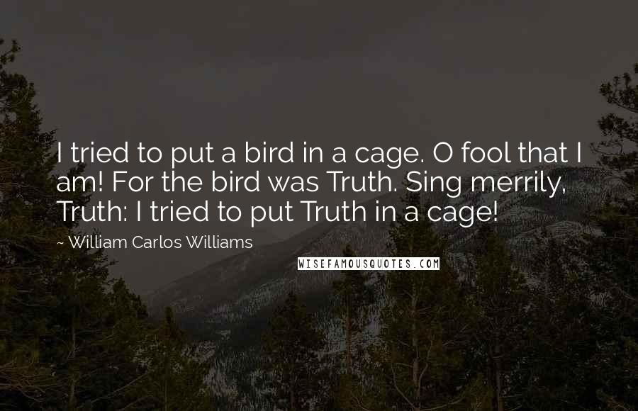 William Carlos Williams Quotes: I tried to put a bird in a cage. O fool that I am! For the bird was Truth. Sing merrily, Truth: I tried to put Truth in a cage!