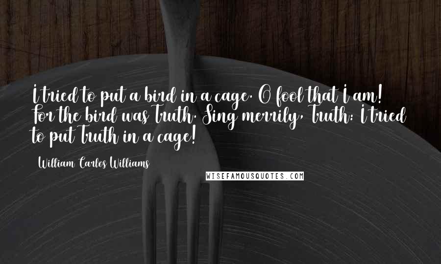 William Carlos Williams Quotes: I tried to put a bird in a cage. O fool that I am! For the bird was Truth. Sing merrily, Truth: I tried to put Truth in a cage!