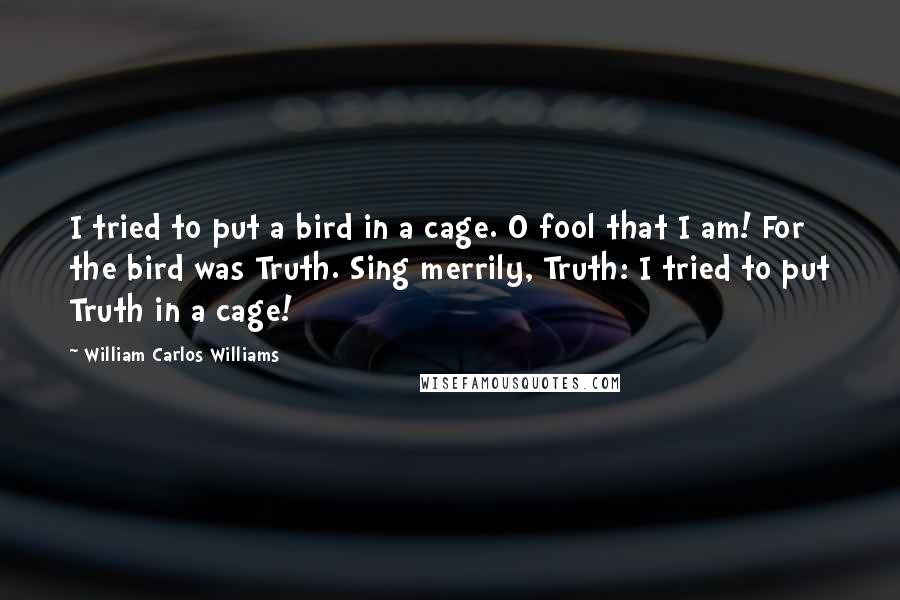 William Carlos Williams Quotes: I tried to put a bird in a cage. O fool that I am! For the bird was Truth. Sing merrily, Truth: I tried to put Truth in a cage!