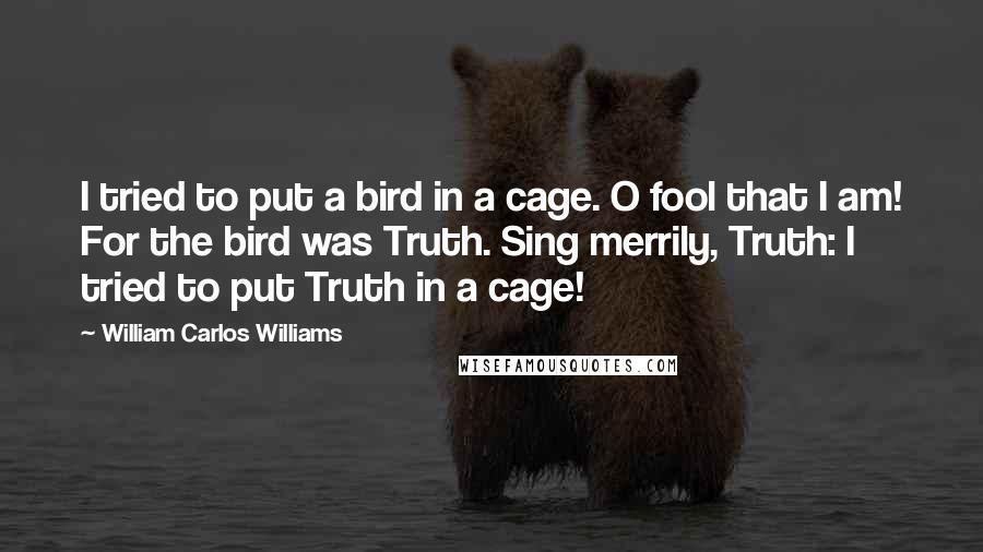 William Carlos Williams Quotes: I tried to put a bird in a cage. O fool that I am! For the bird was Truth. Sing merrily, Truth: I tried to put Truth in a cage!