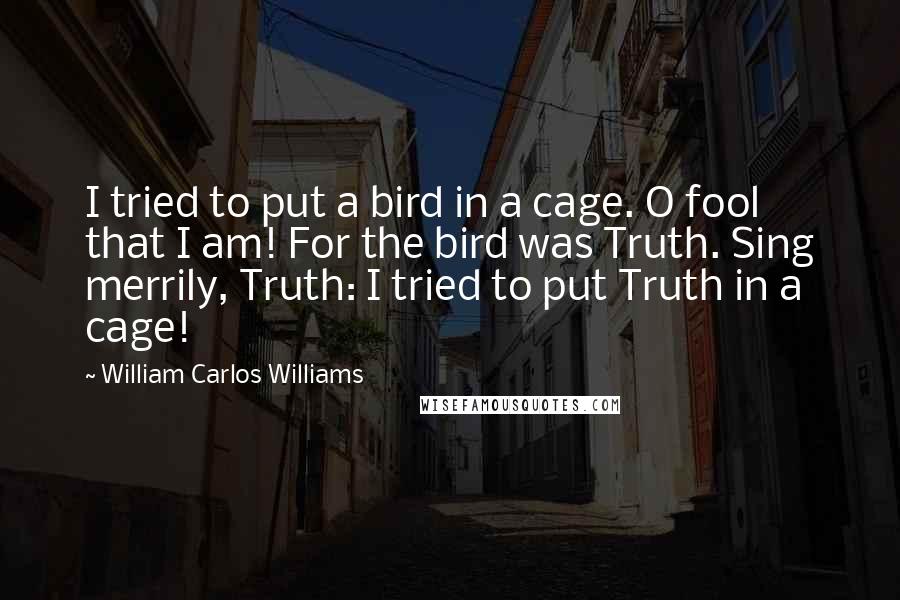 William Carlos Williams Quotes: I tried to put a bird in a cage. O fool that I am! For the bird was Truth. Sing merrily, Truth: I tried to put Truth in a cage!