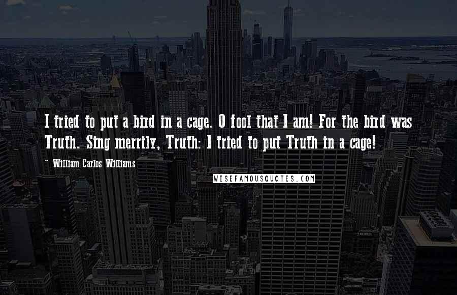 William Carlos Williams Quotes: I tried to put a bird in a cage. O fool that I am! For the bird was Truth. Sing merrily, Truth: I tried to put Truth in a cage!