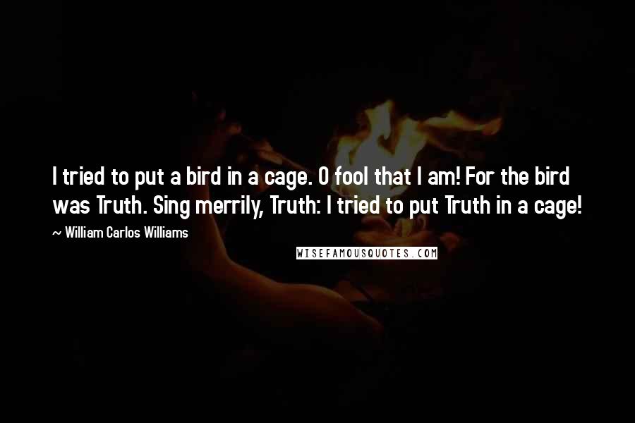 William Carlos Williams Quotes: I tried to put a bird in a cage. O fool that I am! For the bird was Truth. Sing merrily, Truth: I tried to put Truth in a cage!