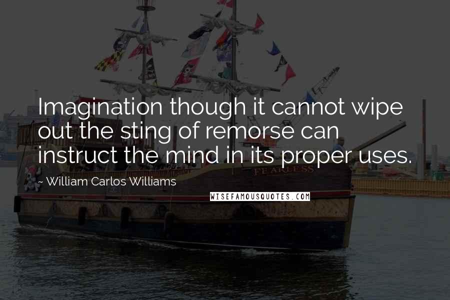 William Carlos Williams Quotes: Imagination though it cannot wipe out the sting of remorse can instruct the mind in its proper uses.