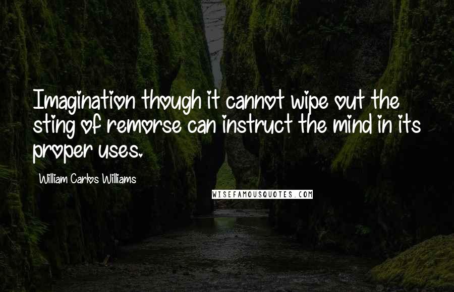 William Carlos Williams Quotes: Imagination though it cannot wipe out the sting of remorse can instruct the mind in its proper uses.