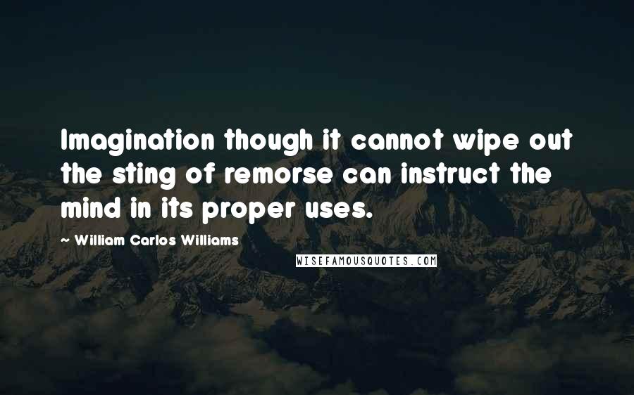 William Carlos Williams Quotes: Imagination though it cannot wipe out the sting of remorse can instruct the mind in its proper uses.