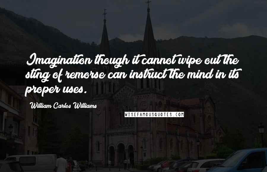 William Carlos Williams Quotes: Imagination though it cannot wipe out the sting of remorse can instruct the mind in its proper uses.