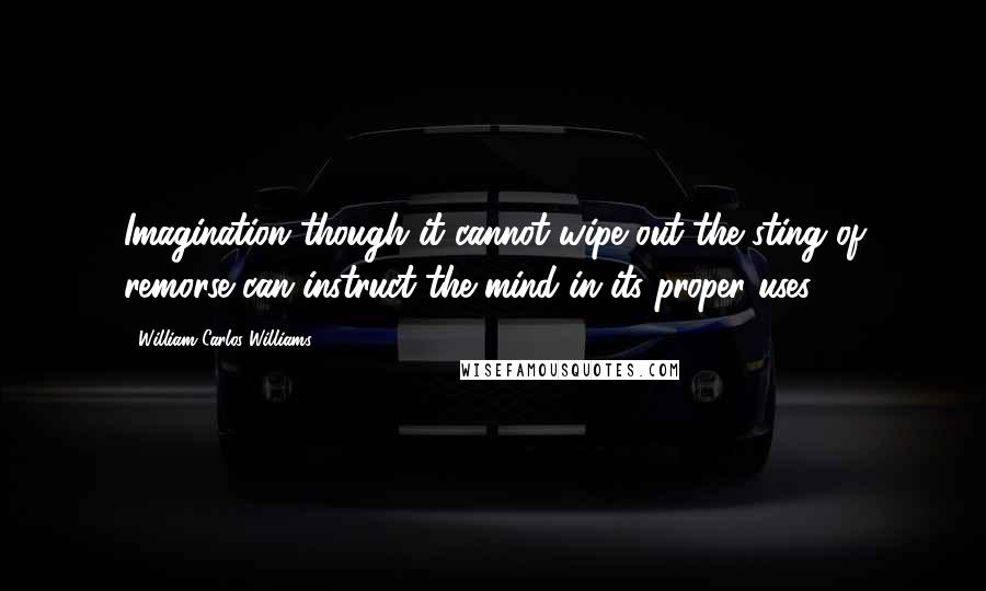 William Carlos Williams Quotes: Imagination though it cannot wipe out the sting of remorse can instruct the mind in its proper uses.