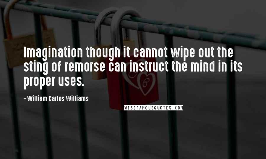 William Carlos Williams Quotes: Imagination though it cannot wipe out the sting of remorse can instruct the mind in its proper uses.