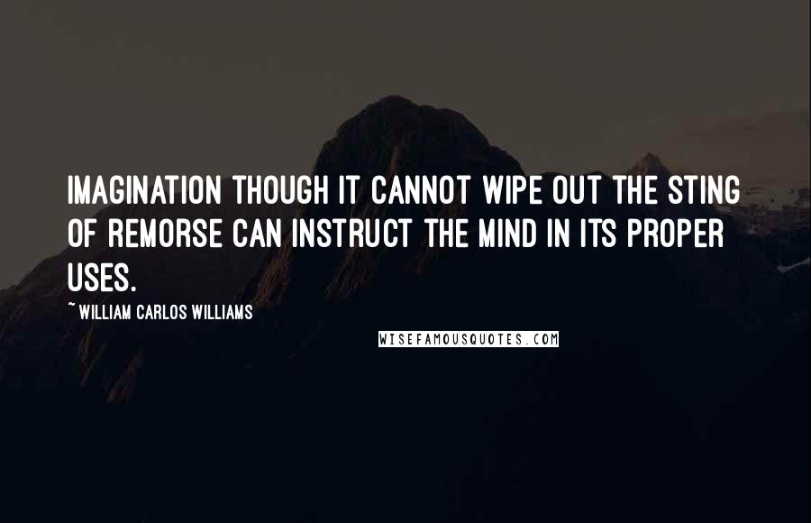 William Carlos Williams Quotes: Imagination though it cannot wipe out the sting of remorse can instruct the mind in its proper uses.