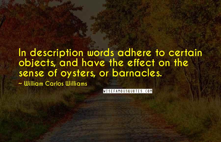 William Carlos Williams Quotes: In description words adhere to certain objects, and have the effect on the sense of oysters, or barnacles.