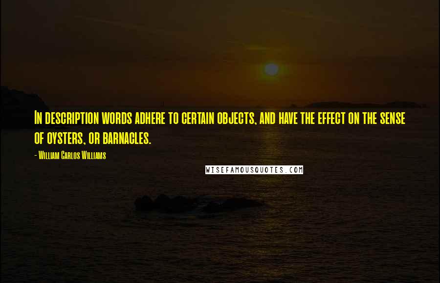 William Carlos Williams Quotes: In description words adhere to certain objects, and have the effect on the sense of oysters, or barnacles.