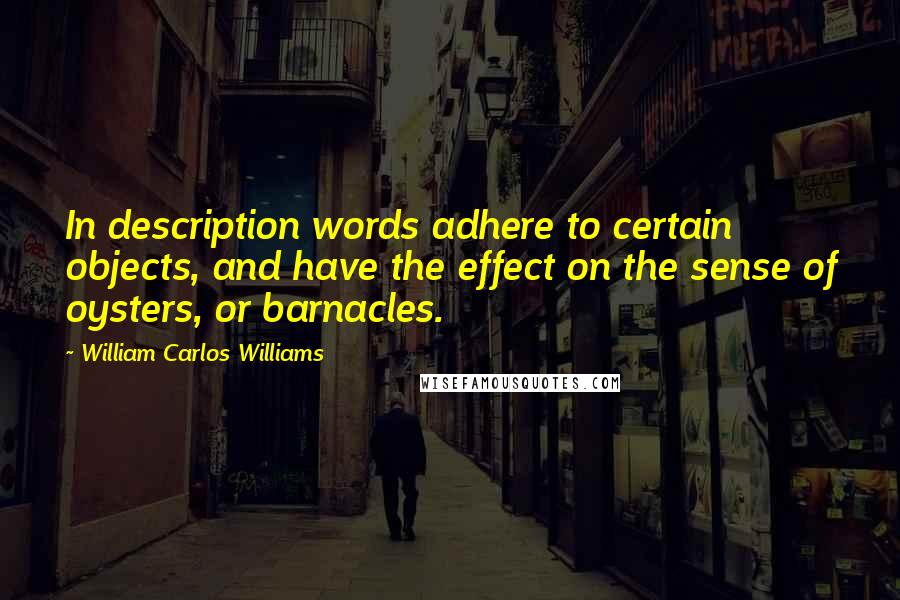 William Carlos Williams Quotes: In description words adhere to certain objects, and have the effect on the sense of oysters, or barnacles.