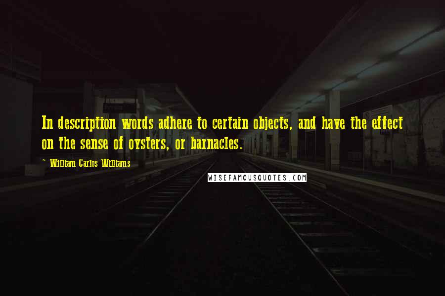 William Carlos Williams Quotes: In description words adhere to certain objects, and have the effect on the sense of oysters, or barnacles.