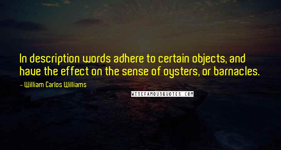 William Carlos Williams Quotes: In description words adhere to certain objects, and have the effect on the sense of oysters, or barnacles.