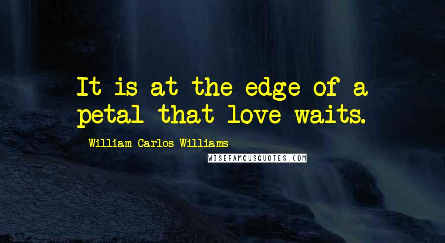 William Carlos Williams Quotes: It is at the edge of a petal that love waits.